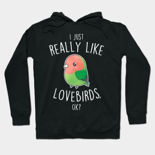 Really Like Peach-Faced Lovebird Parrot Hoodie